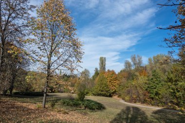 Bulgaristan 'ın Sofya kentindeki South Park' ın şaşırtıcı sonbahar manzarası