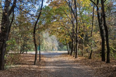 Bulgaristan 'ın Sofya kentindeki South Park' ın şaşırtıcı sonbahar manzarası