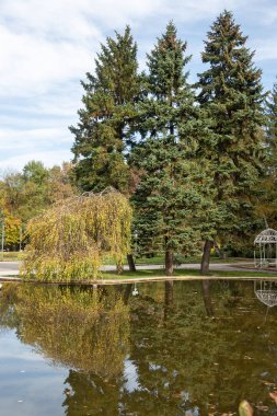 Bulgaristan 'ın Sofya kentindeki South Park' ın şaşırtıcı sonbahar manzarası