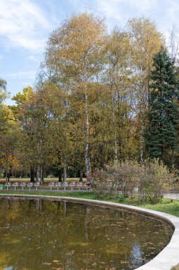 Bulgaristan 'ın Sofya kentindeki South Park' ın şaşırtıcı sonbahar manzarası