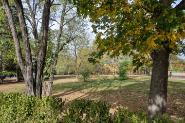 Bulgaristan 'ın Sofya kentindeki South Park' ın şaşırtıcı sonbahar manzarası