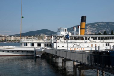 GENEVA, SWitzERLAND - 17 Haziran 2023: İsviçre 'nin Cenevre kentinin şaşırtıcı panoramik manzarası