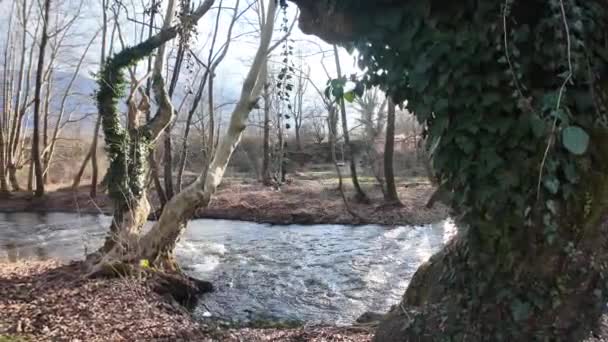 Řeka Strumeshnitsa Protékající Údolím Petříče Region Blagoevgrad Bulharsko — Stock video