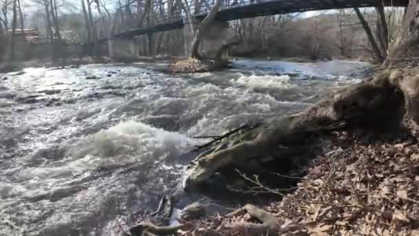 Řeka Strumeshnitsa Protékající Údolím Petříče Region Blagoevgrad Bulharsko — Stock video