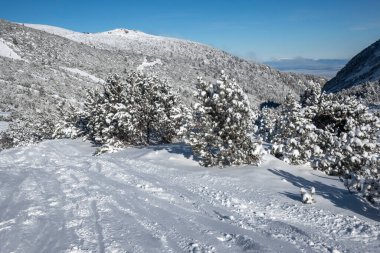 Bulgaristan 'ın Musala zirvesi yakınlarındaki Rila Dağı' nın İnanılmaz Kış Manzarası