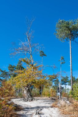 Belintash 'ın sonbahar manzarası - Bulgaristan' ın Rodop Dağlarındaki tanrı Sabazios 'a adanmış antik tapınak
