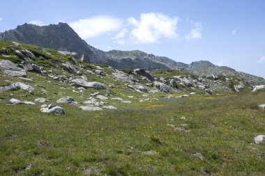 Bulgaristan 'ın Kalin tepeleri yakınlarındaki Rila Dağı' nın İnanılmaz Yaz Manzarası
