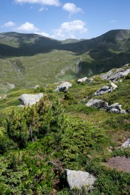 Bulgaristan 'ın Kalin tepeleri yakınlarındaki Rila Dağı' nın İnanılmaz Yaz Manzarası
