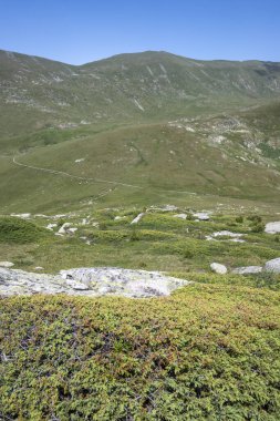 Bulgaristan 'ın Kalin tepeleri yakınlarındaki Rila Dağı' nın İnanılmaz Yaz Manzarası