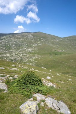 Bulgaristan 'ın Kalin tepeleri yakınlarındaki Rila Dağı' nın İnanılmaz Yaz Manzarası