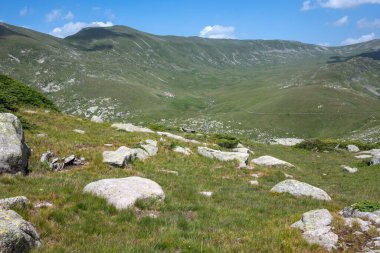 Bulgaristan 'ın Kalin tepeleri yakınlarındaki Rila Dağı' nın İnanılmaz Yaz Manzarası