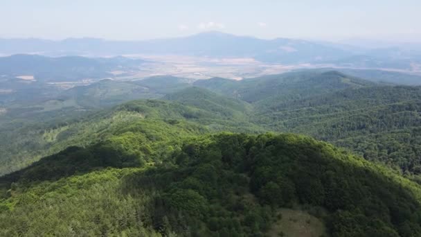 Flygsommar Landskap Erul Berg Nära Kamenititsa Topp Pernik Region Bulgarien — Stockvideo