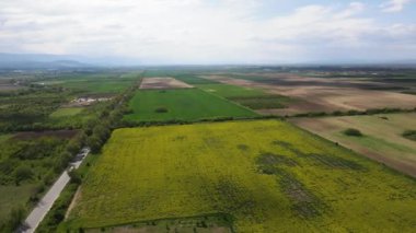 Bulgaristan 'ın Filibe Bölgesi' nin Kostievo köyü yakınlarındaki Blooming tecavüz tarlasının hava manzarası