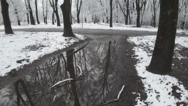 Úžasná Zimní Krajina South Parku Sofii Bulharsko — Stock video