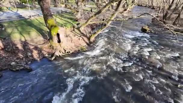 Strumeshnitsa Floden Passerar Genom Petrich Dalen Blagoevgrad Region Bulgarien — Stockvideo
