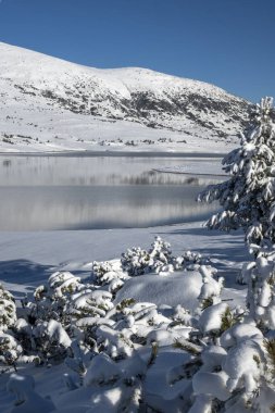 Bulgaristan 'ın Rila dağındaki Belmeken Barajı' nın muhteşem kış manzarası
