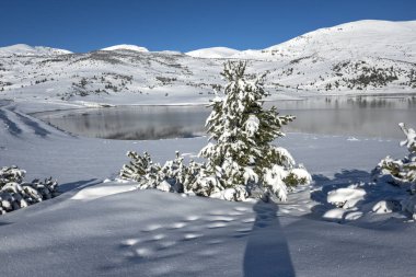 Bulgaristan 'ın Rila dağındaki Belmeken Barajı' nın muhteşem kış manzarası