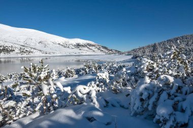 Bulgaristan 'ın Rila dağındaki Belmeken Barajı' nın muhteşem kış manzarası