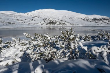 Bulgaristan 'ın Rila dağındaki Belmeken Barajı' nın muhteşem kış manzarası