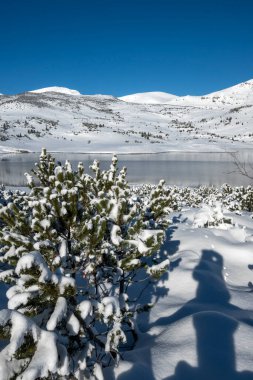 Bulgaristan 'ın Rila dağındaki Belmeken Barajı' nın muhteşem kış manzarası