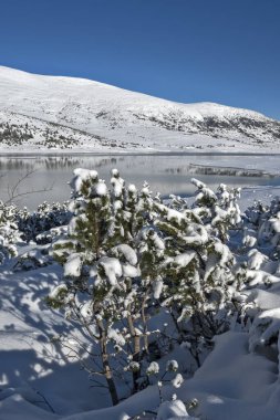 Bulgaristan 'ın Rila dağındaki Belmeken Barajı' nın muhteşem kış manzarası