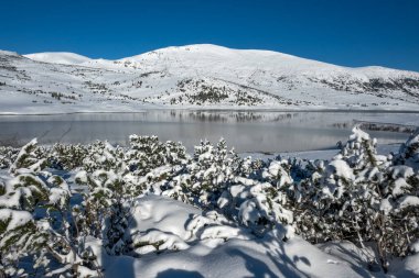 Bulgaristan 'ın Rila dağındaki Belmeken Barajı' nın muhteşem kış manzarası