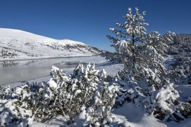 Bulgaristan 'ın Rila dağındaki Belmeken Barajı' nın muhteşem kış manzarası