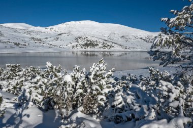 Bulgaristan 'ın Rila dağındaki Belmeken Barajı' nın muhteşem kış manzarası