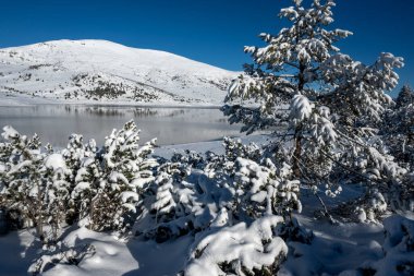 Bulgaristan 'ın Rila dağındaki Belmeken Barajı' nın muhteşem kış manzarası