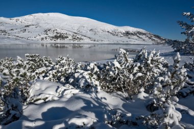 Bulgaristan 'ın Rila dağındaki Belmeken Barajı' nın muhteşem kış manzarası