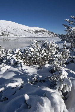Bulgaristan 'ın Rila dağındaki Belmeken Barajı' nın muhteşem kış manzarası
