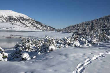 Bulgaristan 'ın Rila dağındaki Belmeken Barajı' nın muhteşem kış manzarası
