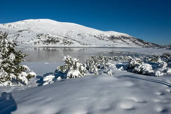Bulgaristan 'ın Rila dağındaki Belmeken Barajı' nın muhteşem kış manzarası