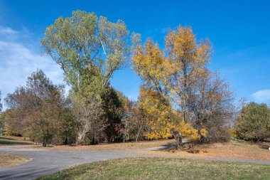 Bulgaristan 'ın Sofya kentindeki South Park' ın şaşırtıcı sonbahar manzarası