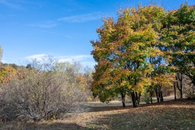 Bulgaristan 'ın Sofya kentindeki South Park' ın şaşırtıcı sonbahar manzarası