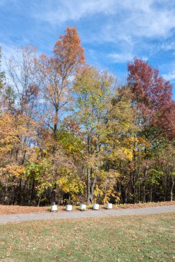 Bulgaristan 'ın Sofya kentindeki South Park' ın şaşırtıcı sonbahar manzarası