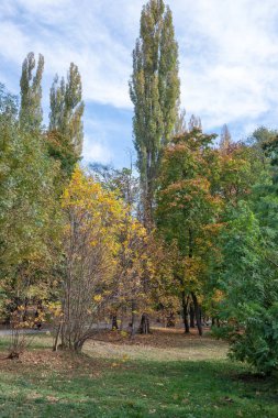 Bulgaristan 'ın Sofya kentindeki South Park' ın şaşırtıcı sonbahar manzarası