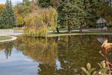 Bulgaristan 'ın Sofya kentindeki South Park' ın şaşırtıcı sonbahar manzarası