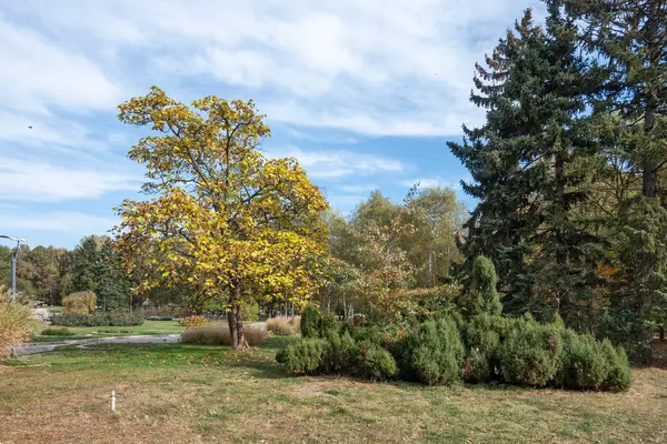 Bulgaristan 'ın Sofya kentindeki South Park' ın şaşırtıcı sonbahar manzarası