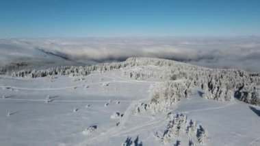 Bulgaristan 'ın Sofya Şehir Bölgesi, Vitosha Dağı' nın Hava Kış Manzarası