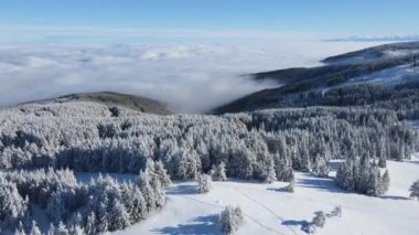 Bulgaristan 'ın Sofya Şehir Bölgesi, Vitosha Dağı' nın Hava Kış Manzarası