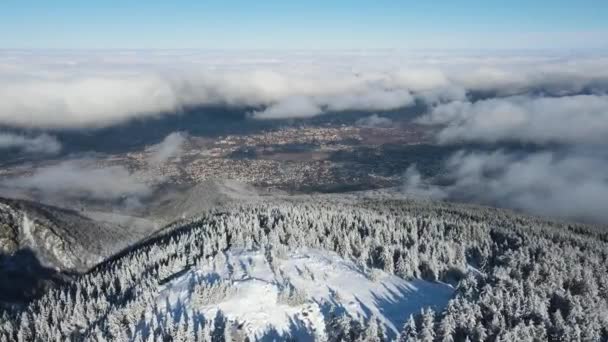 Zimowy Widok Lotu Ptaka Górę Vitosha Obwód Sofijski Bułgaria — Wideo stockowe