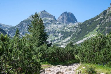 Amazing Summer landscape of Rila Mountain near Malyovitsa peak, Bulgaria