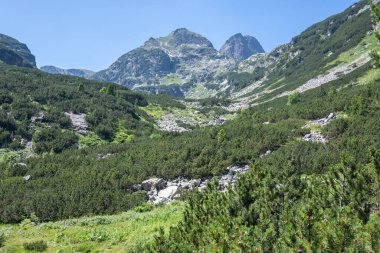 Amazing Summer landscape of Rila Mountain near Malyovitsa peak, Bulgaria