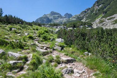 Amazing Summer landscape of Rila Mountain near Malyovitsa peak, Bulgaria