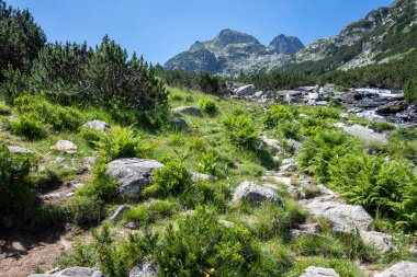 Amazing Summer landscape of Rila Mountain near Malyovitsa peak, Bulgaria