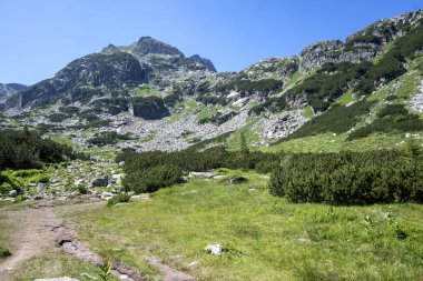 Amazing Summer landscape of Rila Mountain near Malyovitsa peak, Bulgaria