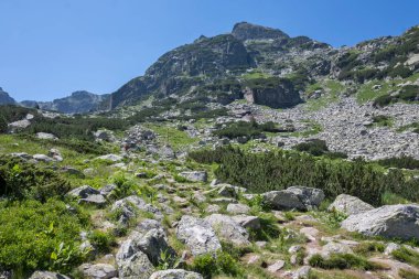 Amazing Summer landscape of Rila Mountain near Malyovitsa peak, Bulgaria