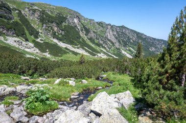 Amazing Summer landscape of Rila Mountain near Malyovitsa peak, Bulgaria