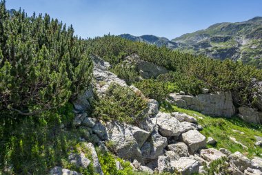 Amazing Summer landscape of Rila Mountain near Malyovitsa peak, Bulgaria